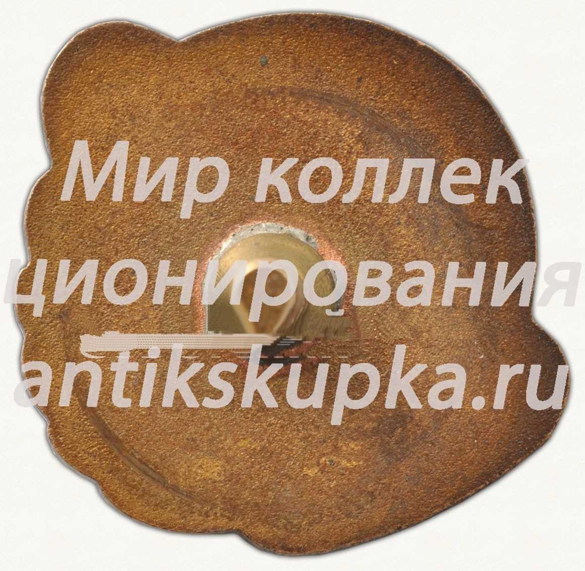 Знак за II место ДСО «Даугава» Знак за II место ДСО «Даугава»