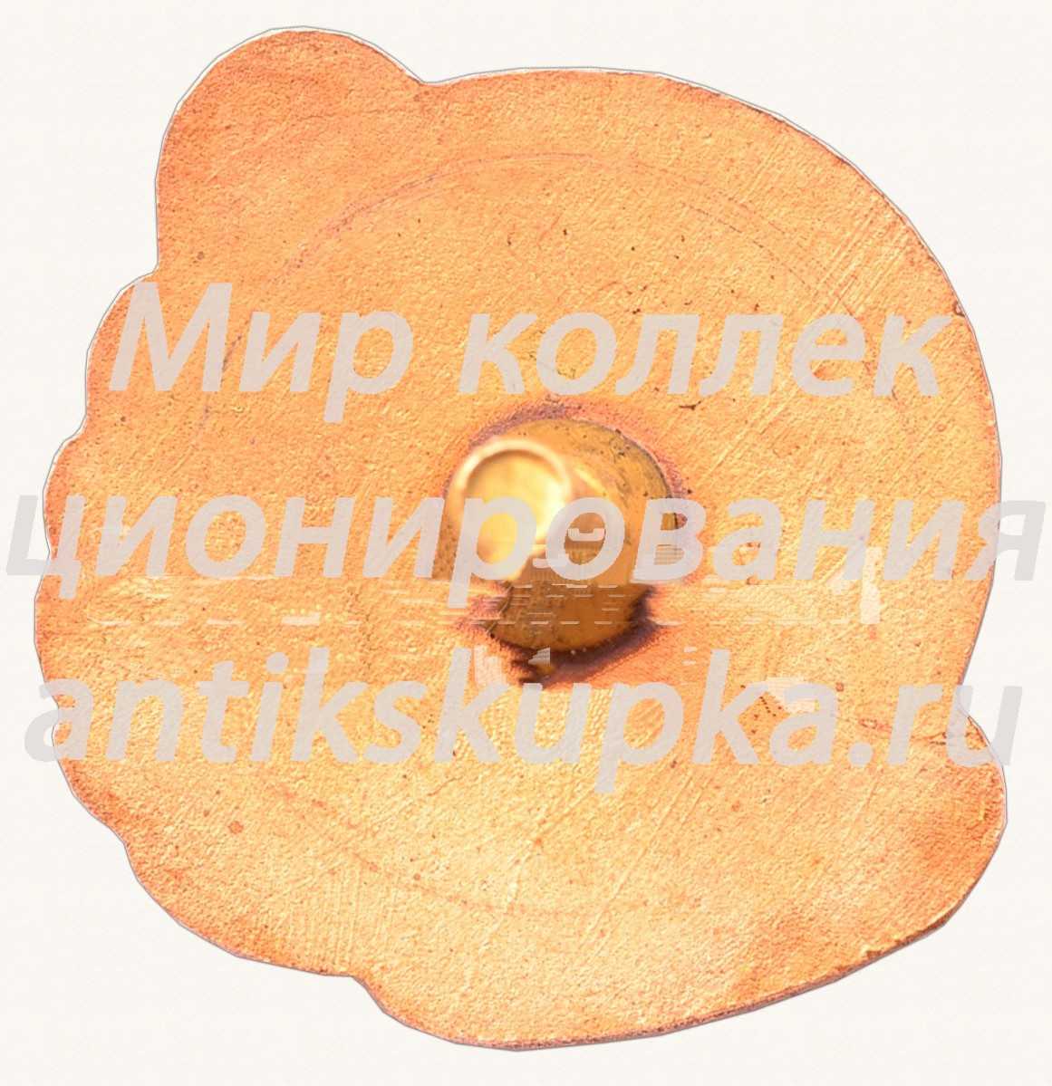 Знак за III место ДСО «Даугава» Знак за III место ДСО «Даугава»
