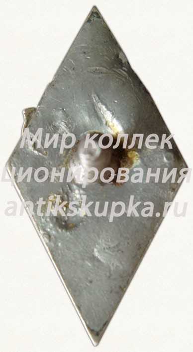 Знак «За окончание Рижского техникума работников культуры (RKDT). XIV выпуск» Знак «За окончание Рижского техникума работников культуры (RKDT). XIV выпуск»