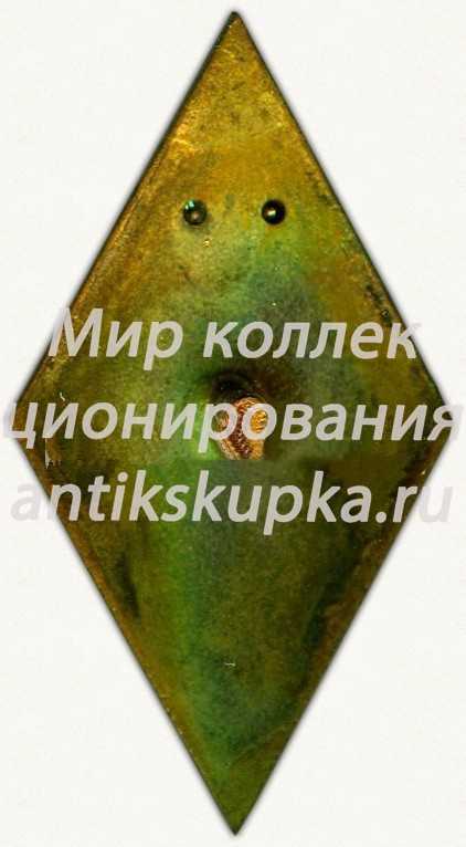 Знак «За окончание всесоюзного заочного лесотехнического институт (ВЗЛТИ)» Знак «За окончание всесоюзного заочного лесотехнического институт (ВЗЛТИ)»