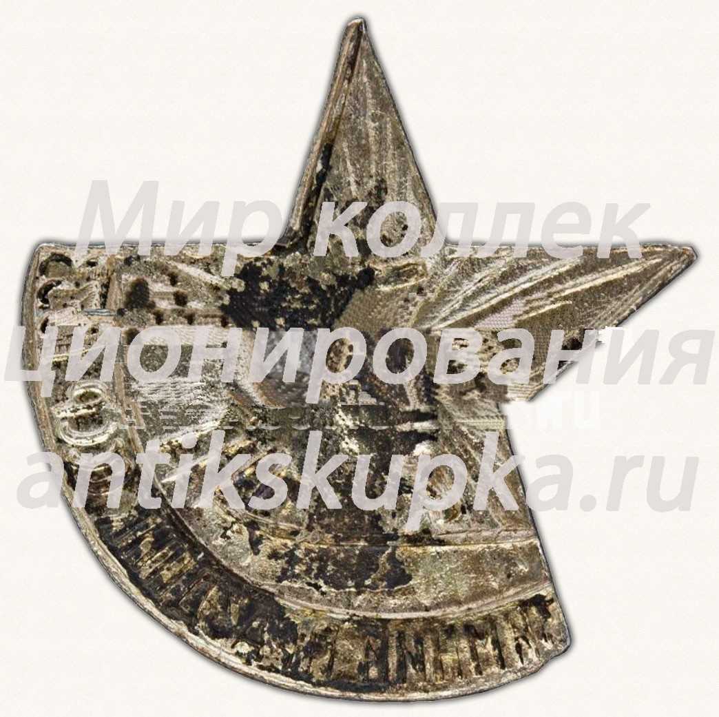Знак «Зимний праздник СССР» Знак «Зимний праздник СССР»