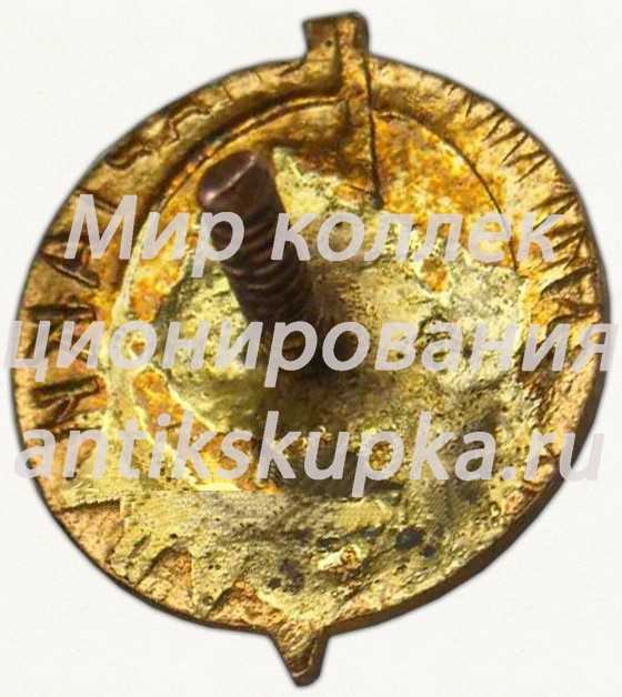 Знак «Зимняя спартакиада ДСО «Молния». 1950» Знак «Зимняя спартакиада ДСО «Молния». 1950»