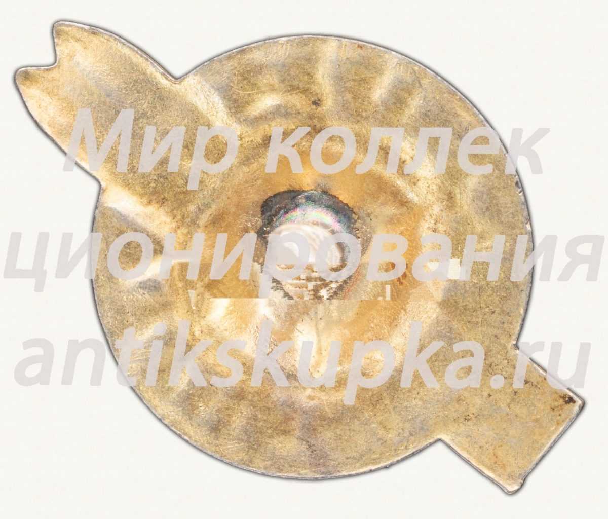 Знак «Зимняя спартакиада техникумов физкультуры (ТФК). 1934» Знак «Зимняя спартакиада техникумов физкультуры (ТФК). 1934»