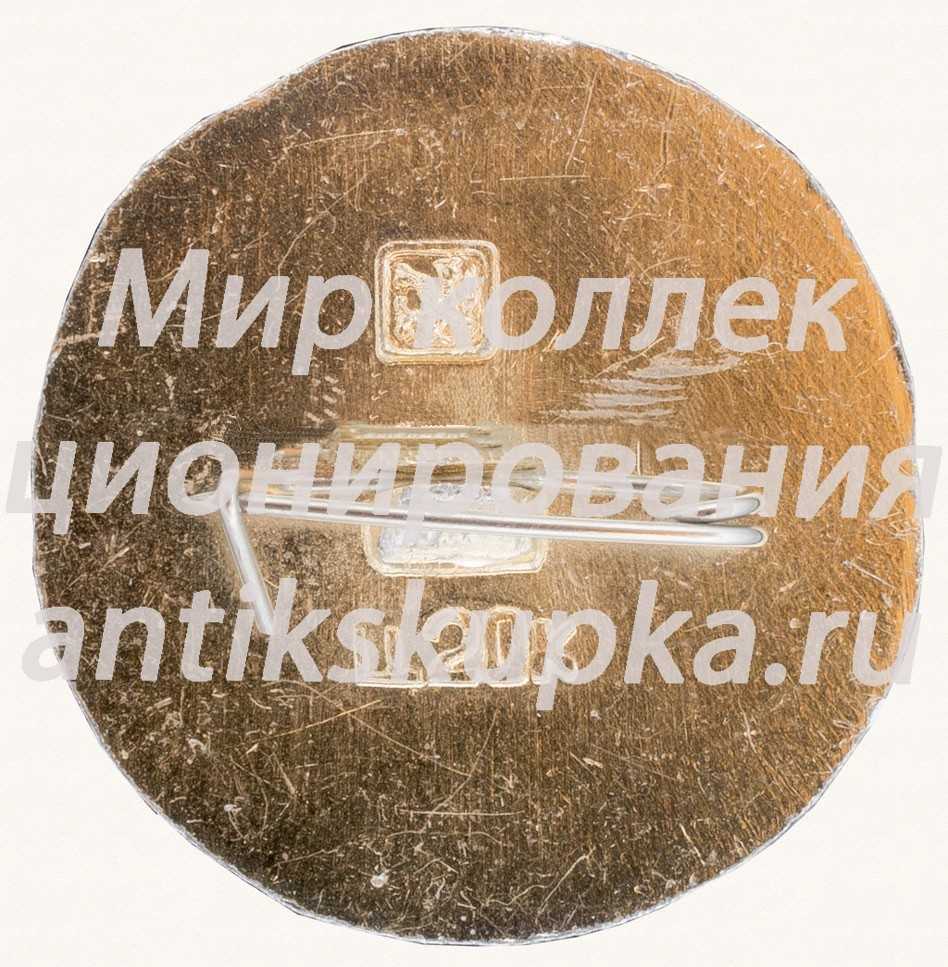 Кинешма. Серия знаков «Золотое кольцо» Кинешма. Серия знаков «Золотое кольцо»