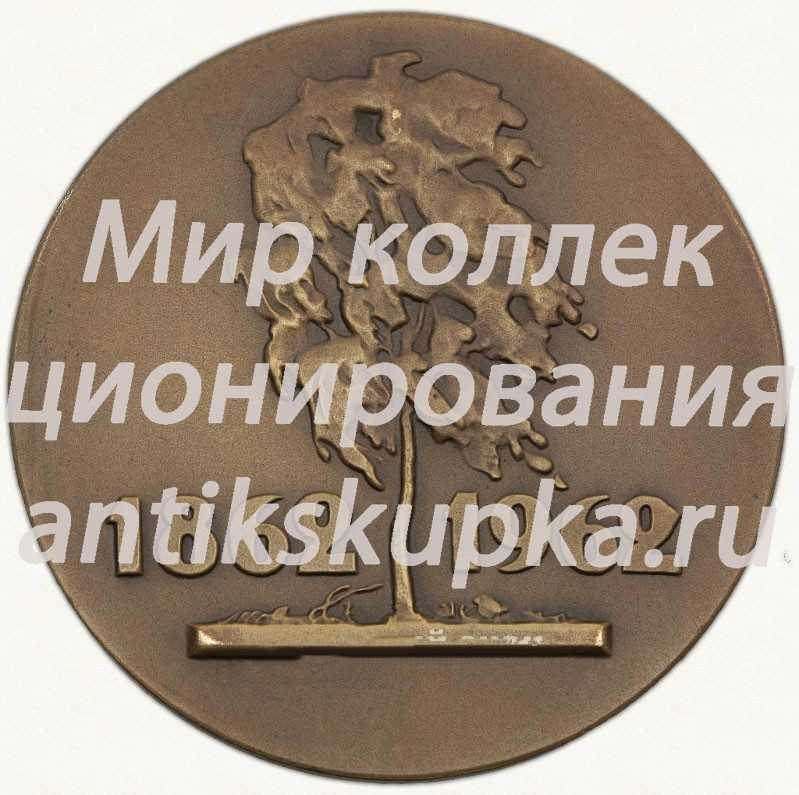 Настольная медаль «100 лет со дня рождения В.Н. Бакшеева» Настольная медаль «100 лет со дня рождения В.Н. Бакшеева»