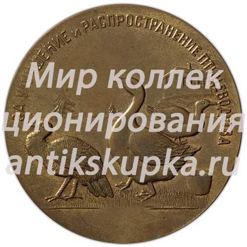 Настольная медаль «Ленинградское областное общество «ЛЕНЖИВОТНОВОД» «За улучшение и распространение птицеводства»» Настольная медаль «Ленинградское областное общество «ЛЕНЖИВОТНОВОД» «За улучшение и распространение птицеводства»»