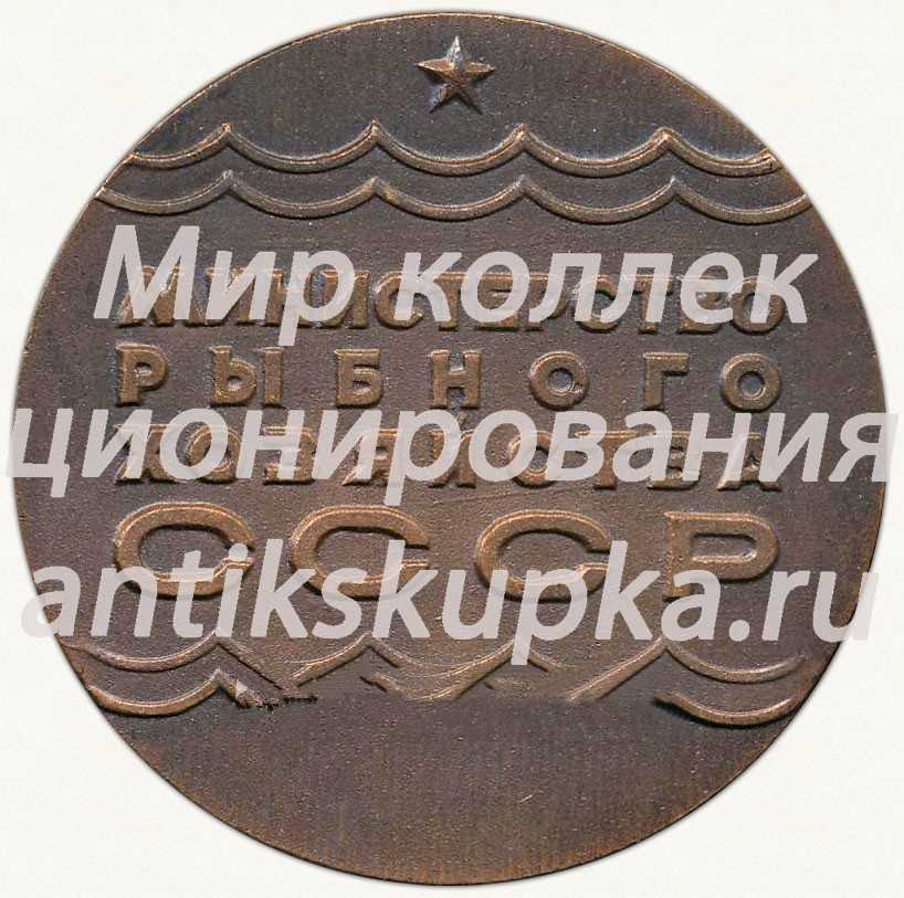 Настольная медаль «Министерство рыбного хозяйства СССР. Выращено миллион центнеров прудовой рыбы. 1973» Настольная медаль «Министерство рыбного хозяйства СССР. Выращено миллион центнеров прудовой рыбы. 1973»