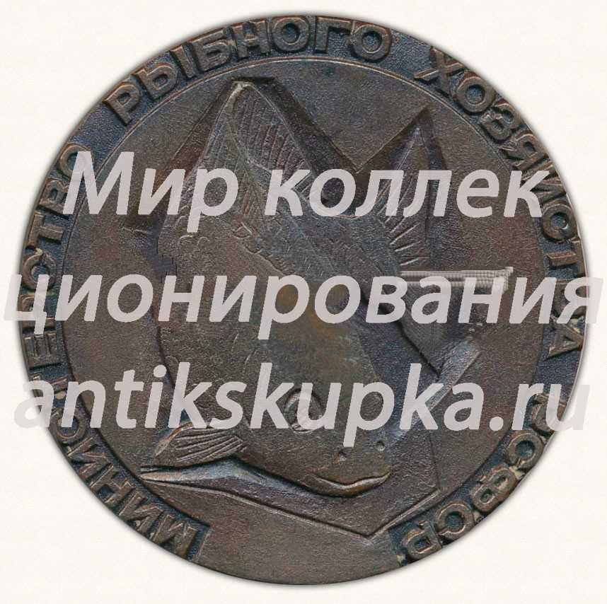 Настольная медаль «Министерство рыбного хозяйства. Рыбхоз «Сускан»» 2 Настольная медаль «Министерство рыбного хозяйства. Рыбхоз «Сускан»» 2
