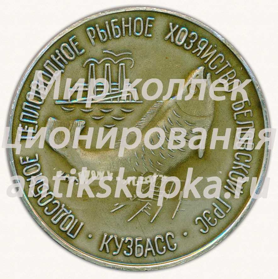 Настольная медаль «Подсобное тепловодное рыбное хозяйство Беловской ГРЭС. Кузбасс» Настольная медаль «Подсобное тепловодное рыбное хозяйство Беловской ГРЭС. Кузбасс»