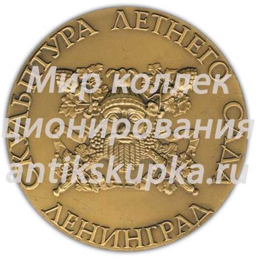 Настольная медаль «Скульптура Летнего сада. Александр Македонский» 3 Настольная медаль «Скульптура Летнего сада. Александр Македонский» 3