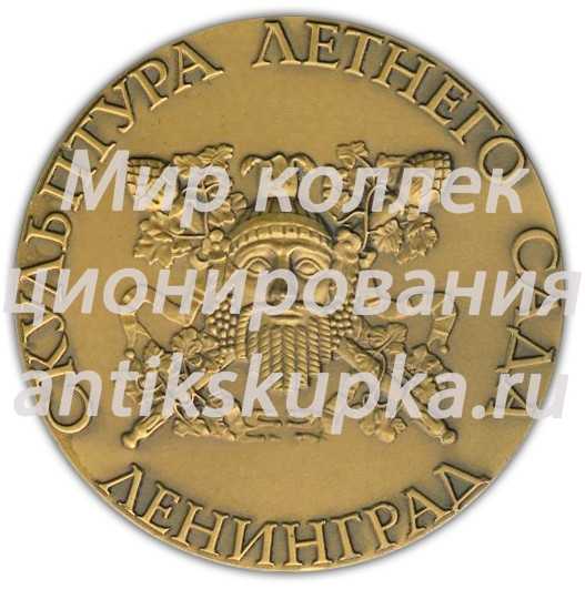 Настольная медаль «Скульптура Летнего сада. Аполлон» 3 Настольная медаль «Скульптура Летнего сада. Аполлон» 3