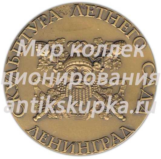 Настольная медаль «Скульптура Летнего сада. Архитектура» 4 Настольная медаль «Скульптура Летнего сада. Архитектура» 4