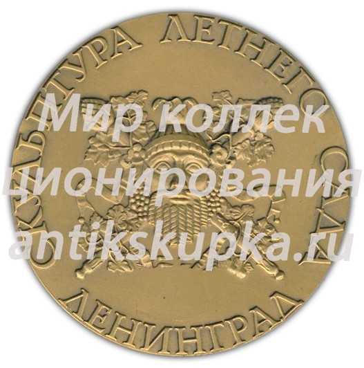 Настольная медаль «Скульптура Летнего сада. Юлия Домна» 2 Настольная медаль «Скульптура Летнего сада. Юлия Домна» 2