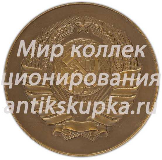 Настольная медаль «Верховный Совет СССР» 3 Настольная медаль «Верховный Совет СССР» 3