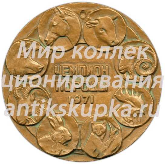 Настольная медаль «Всесоюзный конкурс племенного животноводства и птицеводства. Чемпион породы. 1971» Настольная медаль «Всесоюзный конкурс племенного животноводства и птицеводства. Чемпион породы. 1971»