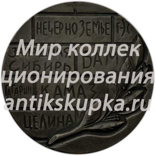 Настольная медаль «Всесоюзный слет студенческих отрядов» Настольная медаль «Всесоюзный слет студенческих отрядов»