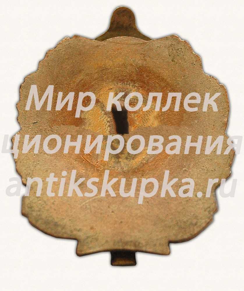 Знак «20 лет легкому крейсеру «Мурманск»» Знак «20 лет легкому крейсеру «Мурманск»»