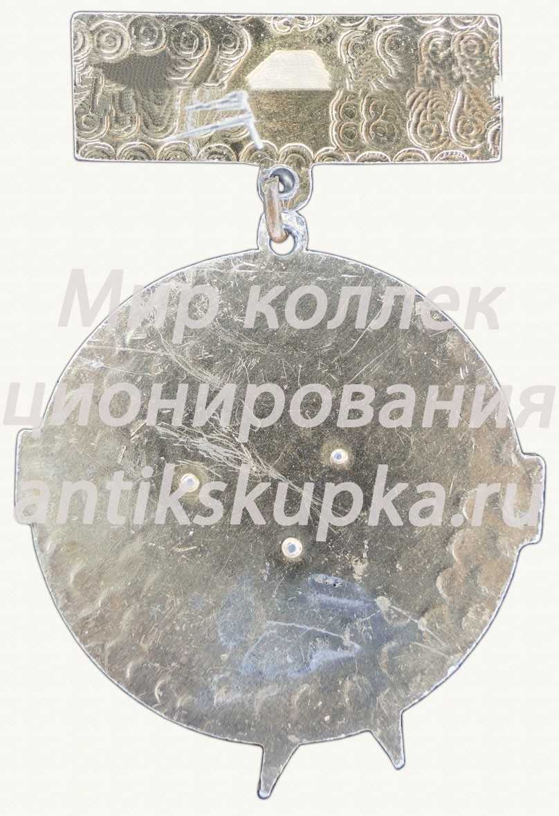 Знак «20 лет пионерскому лагерю «Солнышко». 1985. ВНИИ «Инструмент»» Знак «20 лет пионерскому лагерю «Солнышко». 1985. ВНИИ «Инструмент»»