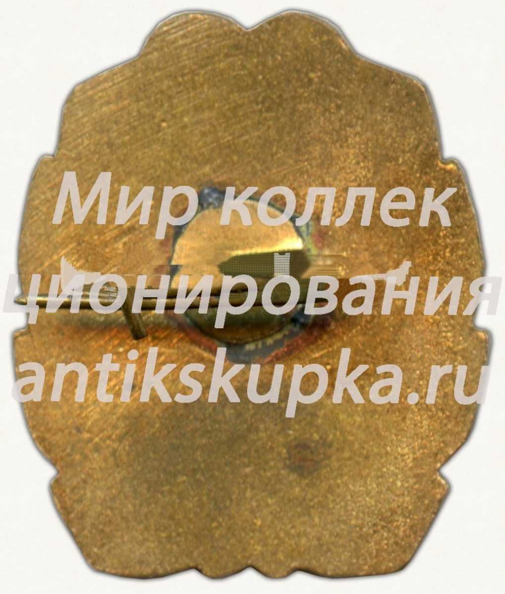 Знак «20 лет СУДОИМПОРТ» Знак «20 лет СУДОИМПОРТ»