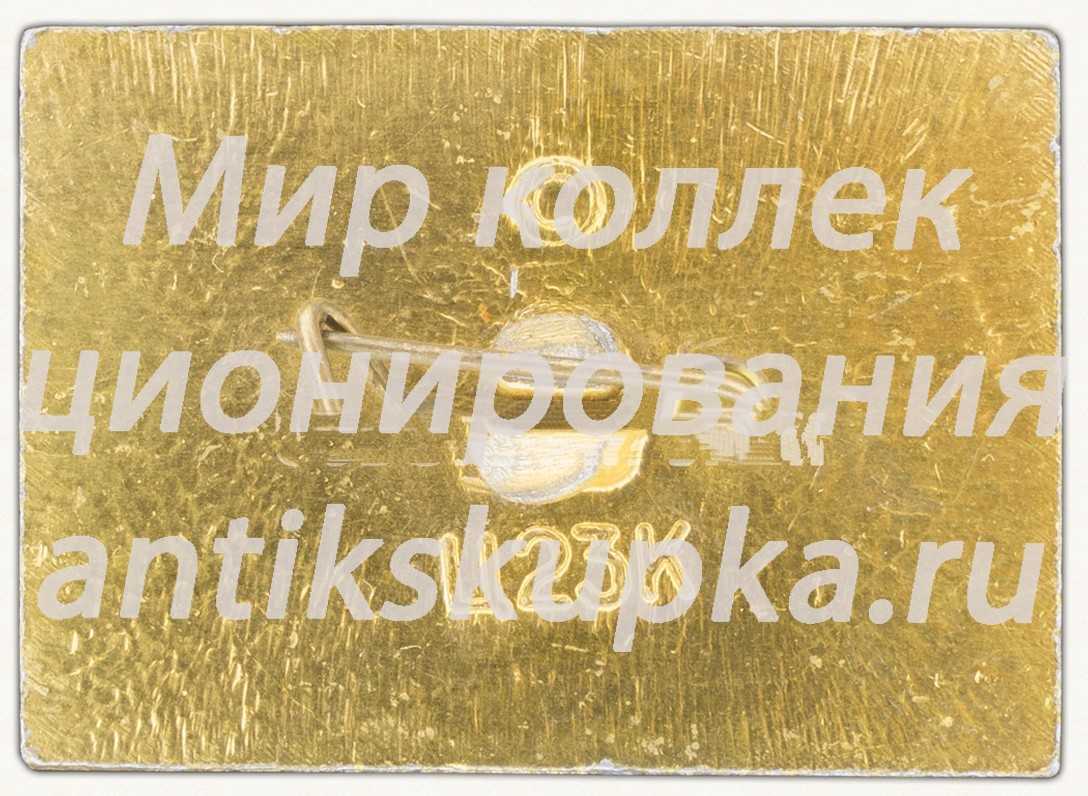 Знак «225 дней. Малая Земля. Медаль «Золотая Звезда». Тип 2» Знак «225 дней. Малая Земля. Медаль «Золотая Звезда». Тип 2»