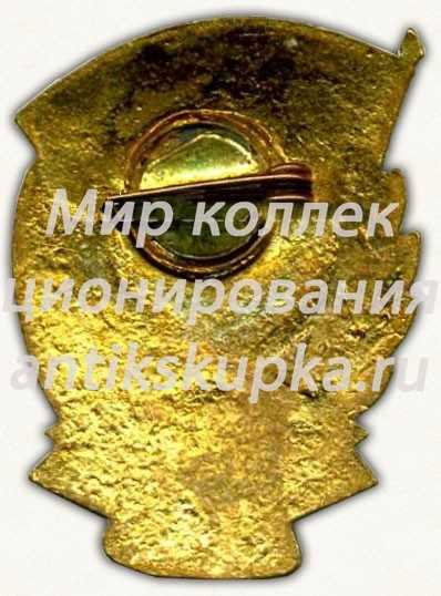 Знак «25 лет Рязанский электровакуумный завод (РЭВЗ). 1933-1958» Знак «25 лет Рязанский электровакуумный завод (РЭВЗ). 1933-1958»
