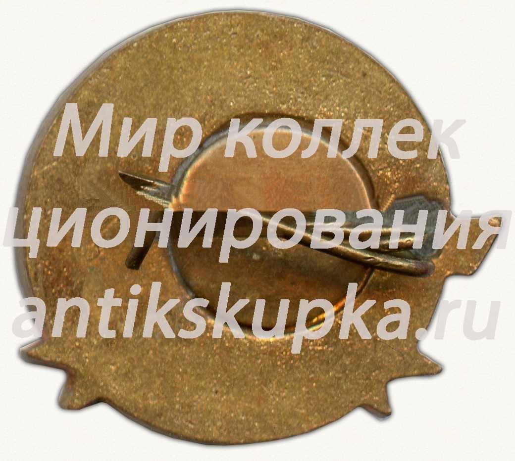 Знак «25 лет северному флоту ВМФ (1933-1958)» Знак «25 лет северному флоту ВМФ (1933-1958)»
