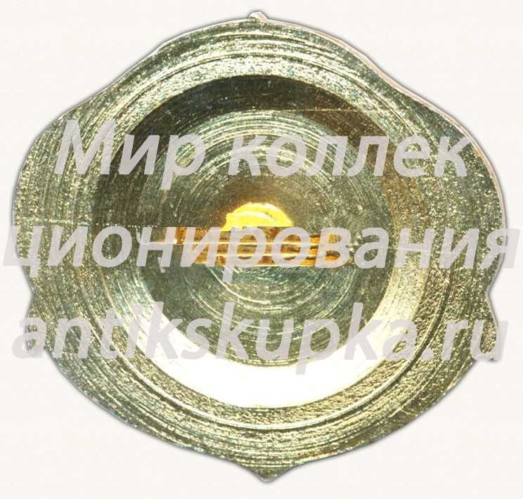 Знак «25 (XXV) лет соединению Краснознаменному северному флоту (КСФ)» Знак «25 (XXV) лет соединению Краснознаменному северному флоту (КСФ)»