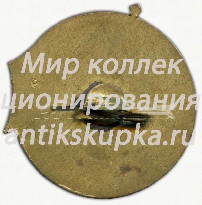 Знак «30 лет Волхов. 1944-1974. Строительный трест №34 Главзапстрой» Знак «30 лет Волхов. 1944-1974. Строительный трест №34 Главзапстрой»