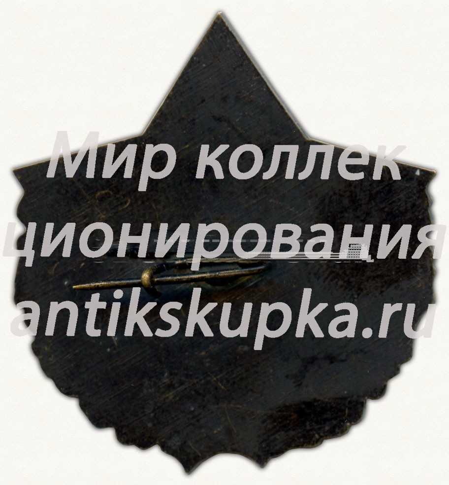 Знак «40 лет войсковой части № 56178» Знак «40 лет войсковой части № 56178»