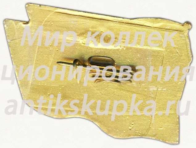 Знак «60-летие Хабаровской краевой комсомольской организации. ВЛКСМ. 1981» Знак «60-летие Хабаровской краевой комсомольской организации. ВЛКСМ. 1981»