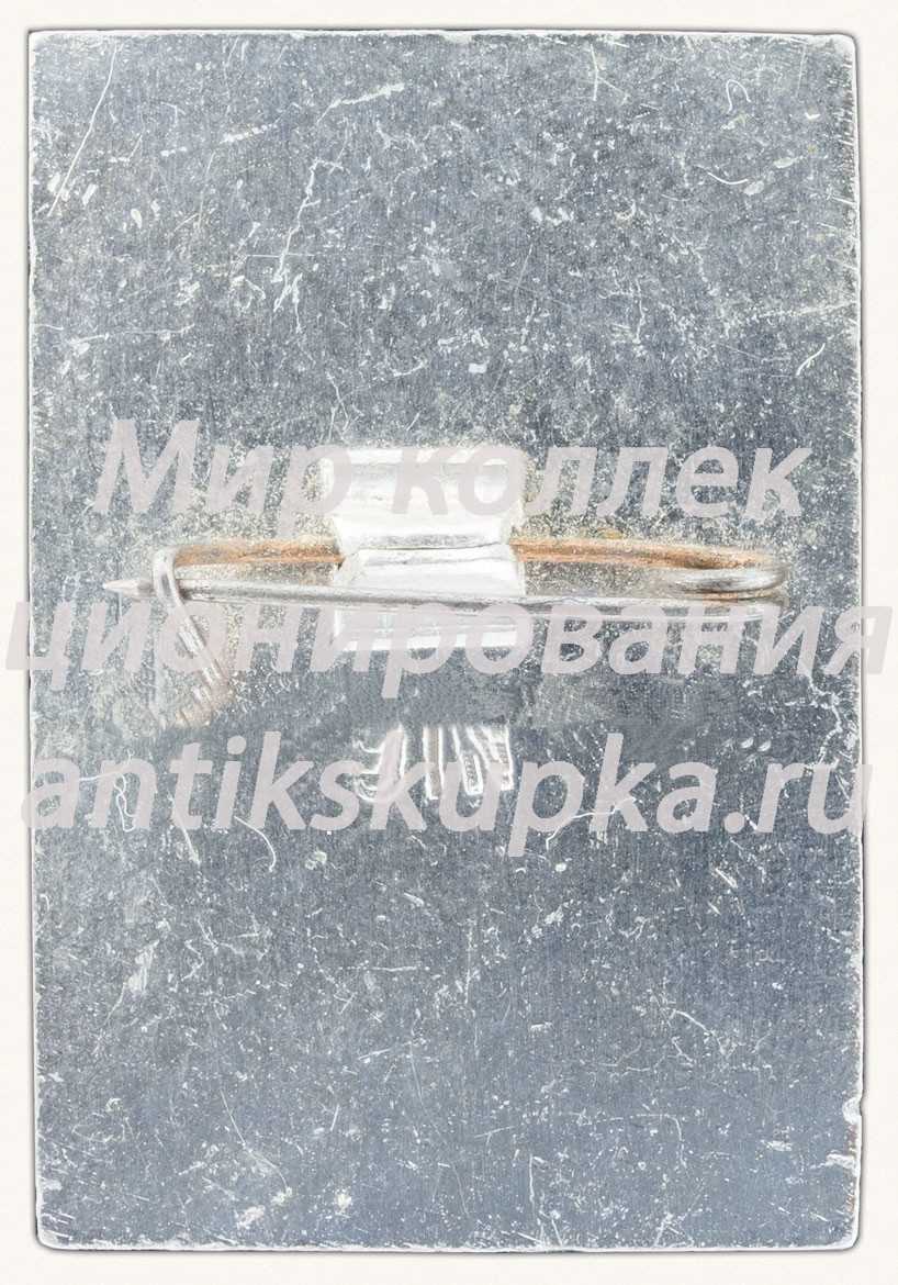 Знак «Арка Главного штаба» Знак «Арка Главного штаба»