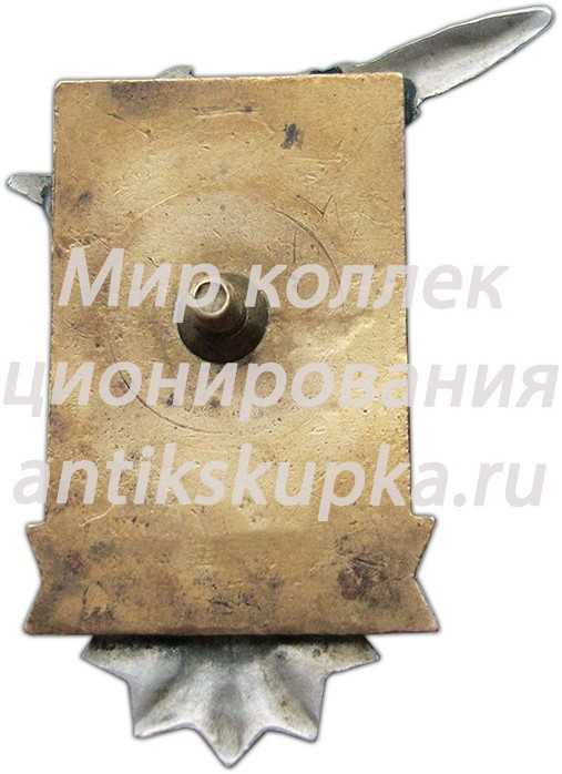 Знак «Берлинская Авиационная бригада 1938-1968 г.» Знак «Берлинская Авиационная бригада 1938-1968 г.»