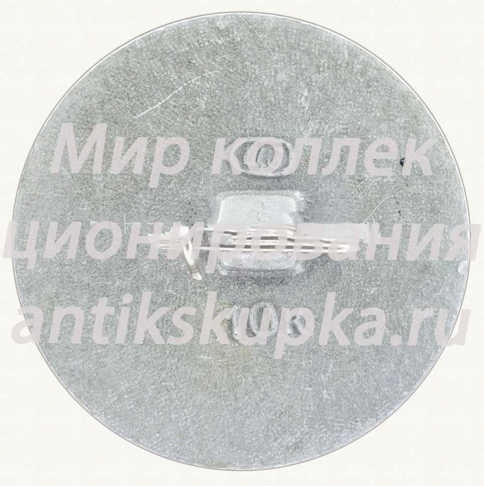 Знак «Бородино. 1812. Тип 2» 2 Знак «Бородино. 1812. Тип 2» 2