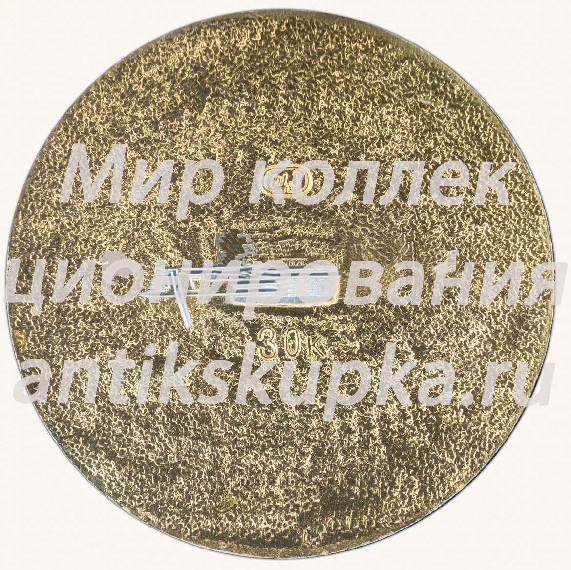 Знак «Бородино. 1812. Военно-исторический музей» Знак «Бородино. 1812. Военно-исторический музей»