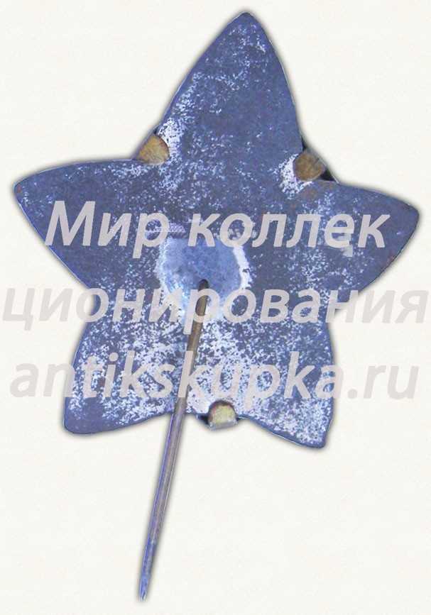 Знак «Да здравствует международный коммунистический день юношества. Тип 2» Знак «Да здравствует международный коммунистический день юношества. Тип 2»