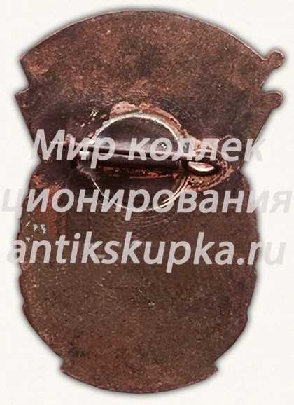 Знак «Фестиваль нефтяников. 1956. Башкирская Автономная Советская Социалистическая Республика (БАССР)» Знак «Фестиваль нефтяников. 1956. Башкирская Автономная Советская Социалистическая Республика (БАССР)»