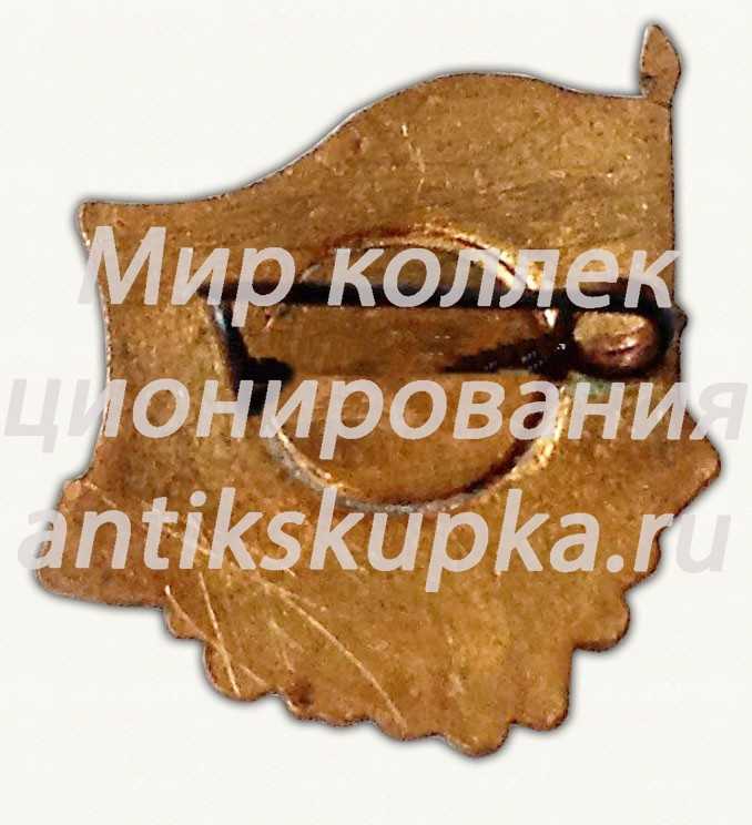 Знак «Фестиваль. Омск. 1957» Знак «Фестиваль. Омск. 1957»