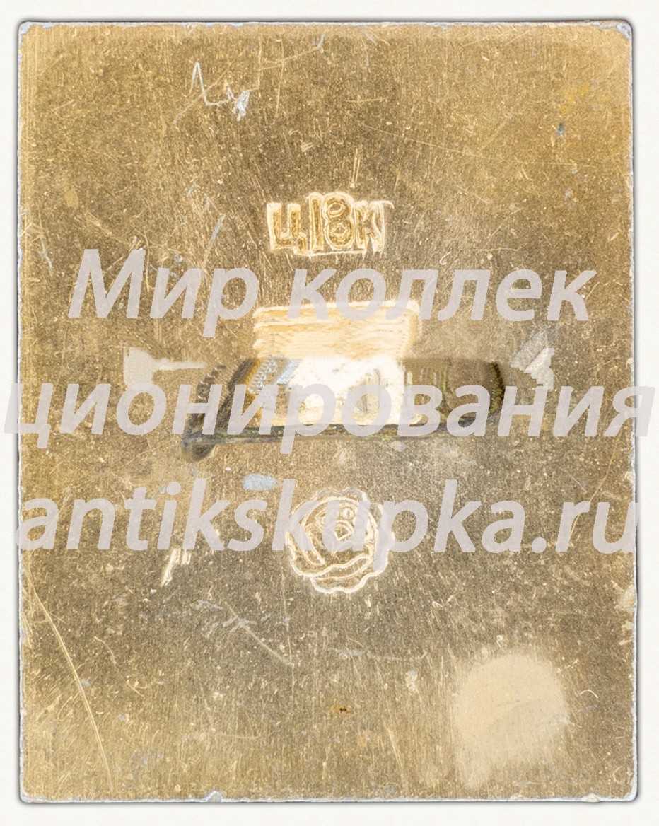 Знак «Георгиевская лента. Орден Отечественной войны» Знак «Георгиевская лента. Орден Отечественной войны»