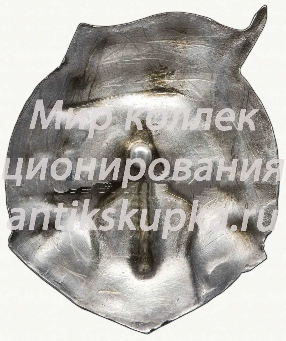 Знак ««Герою пятилетки» ВЭО завод «Пролетарий»» 2 Знак ««Герою пятилетки» ВЭО завод «Пролетарий»» 2