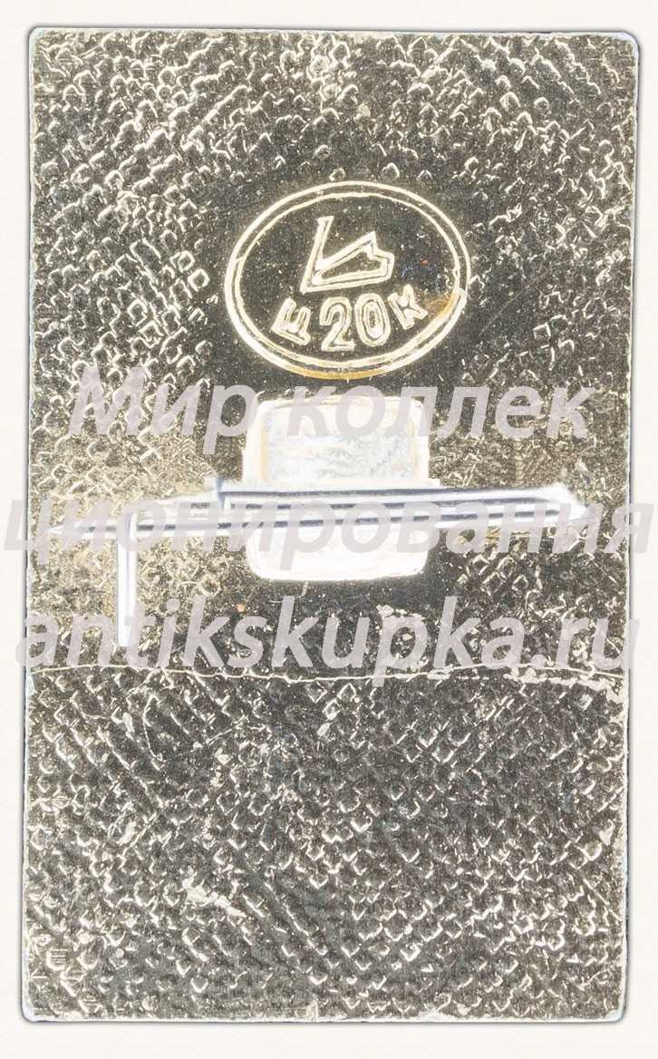 Знак «Город Черняховск» 2 Знак «Город Черняховск» 2