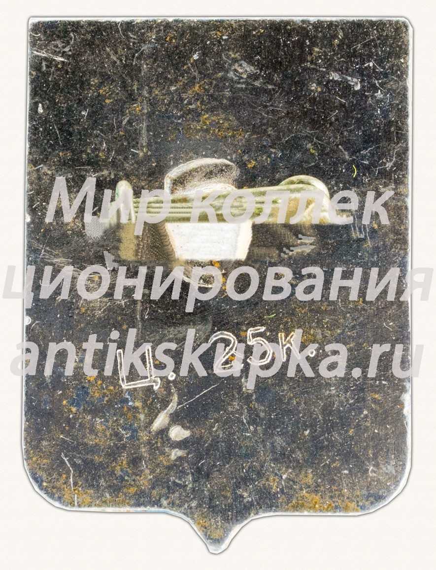 Знак «Город Чухлома. Костромская губерния» Знак «Город Чухлома. Костромская губерния»