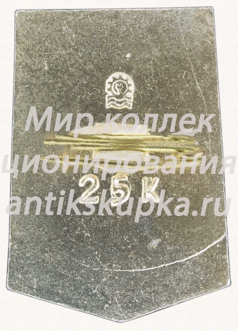 Знак «Город Донецк» Знак «Город Донецк»