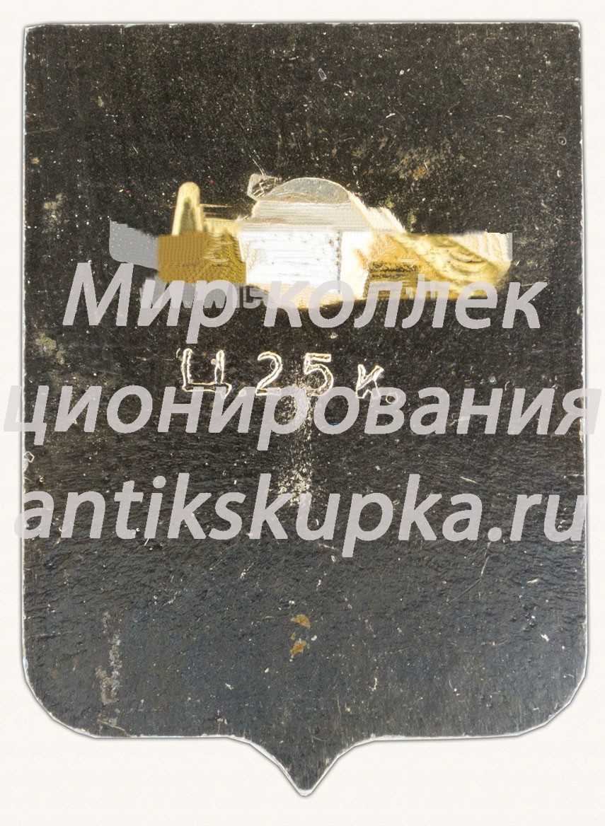 Знак «Город Галич. Костромская губерния» Знак «Город Галич. Костромская губерния»