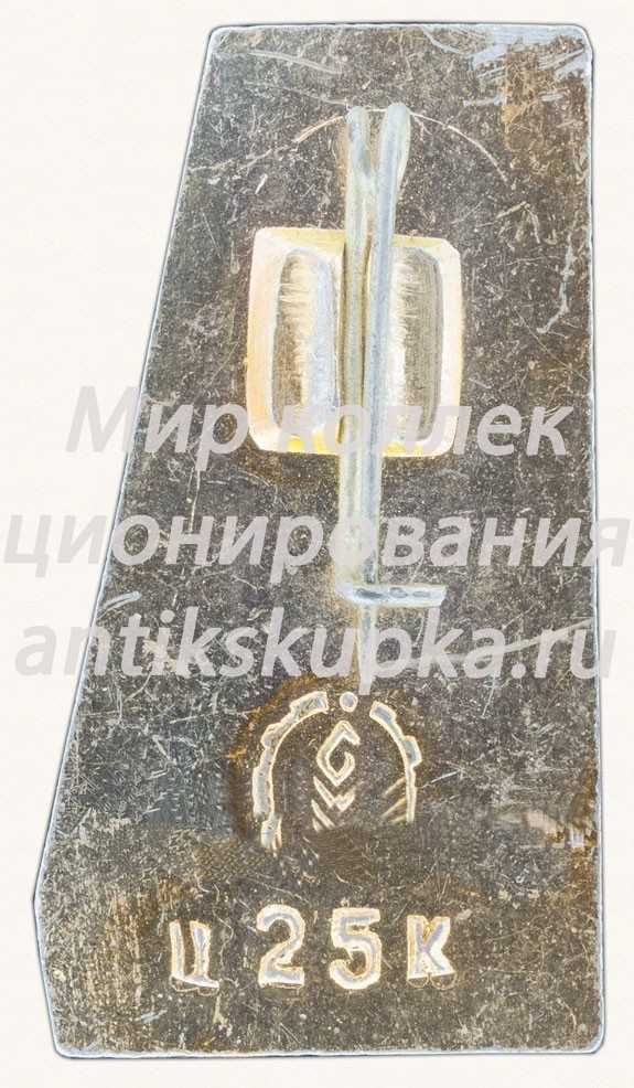 Знак «Город Хабаровск. Тип 3» Знак «Город Хабаровск. Тип 3»