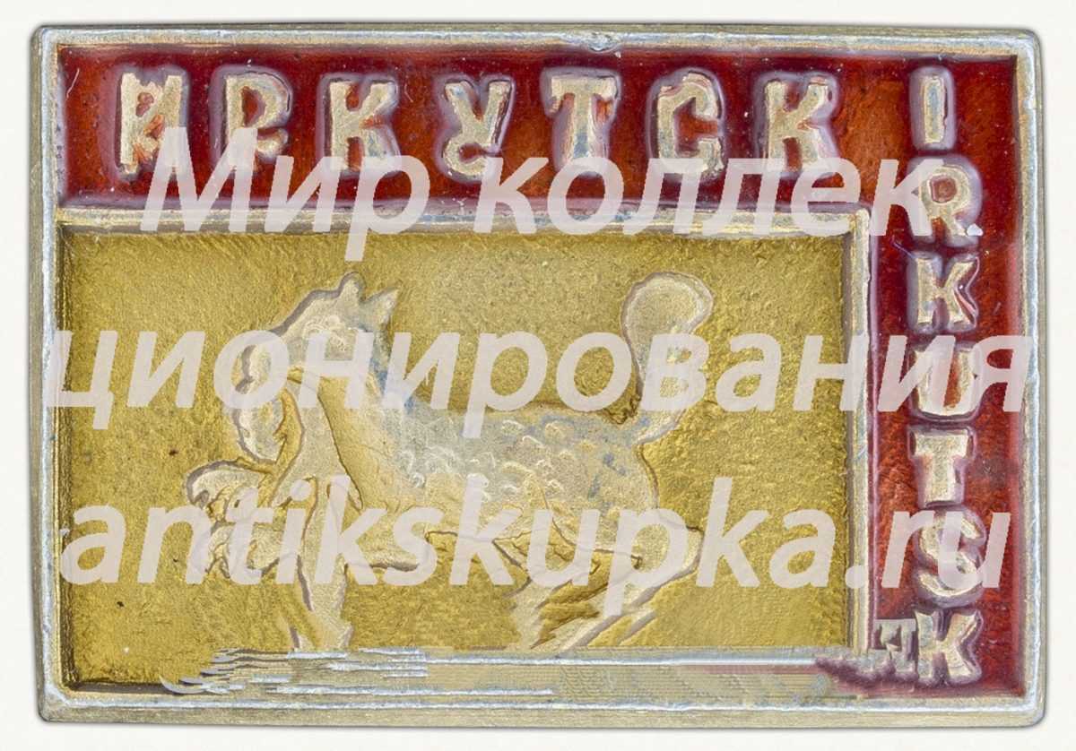 Знак «Город Иркутск (Irkutsk)» 2 Знак «Город Иркутск (Irkutsk)» 2