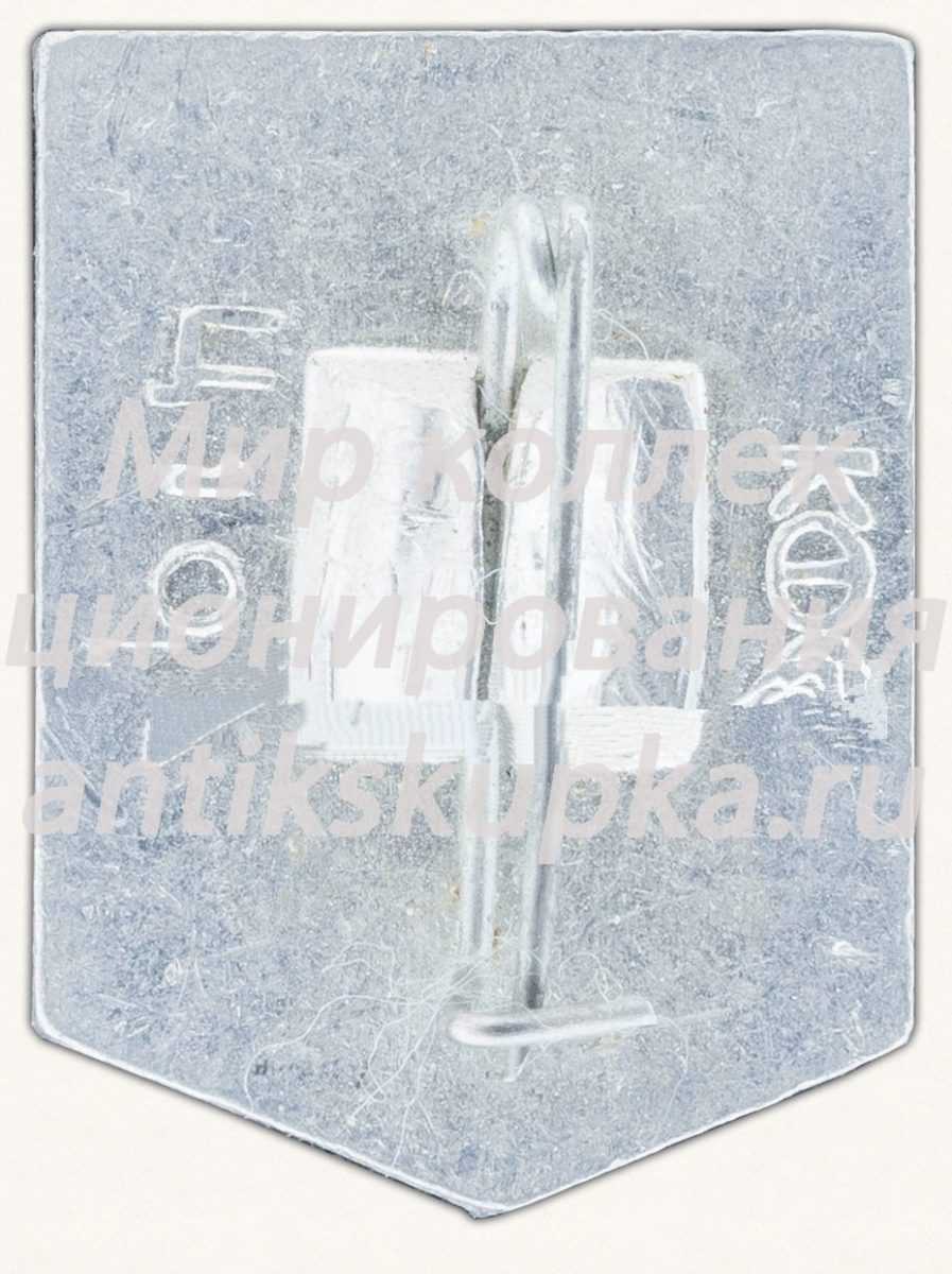 Знак «Город Норильск. Тип 5» Знак «Город Норильск. Тип 5»
