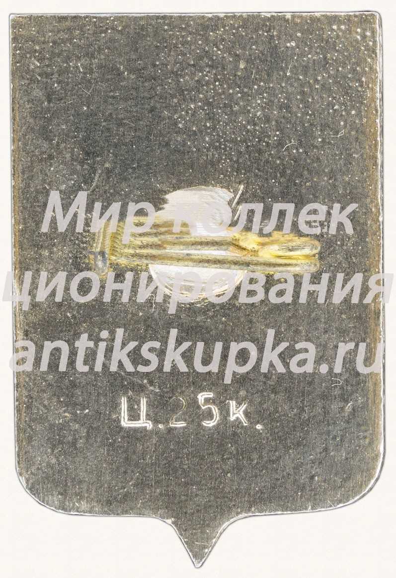 Знак «Город Новгород» 3 Знак «Город Новгород» 3