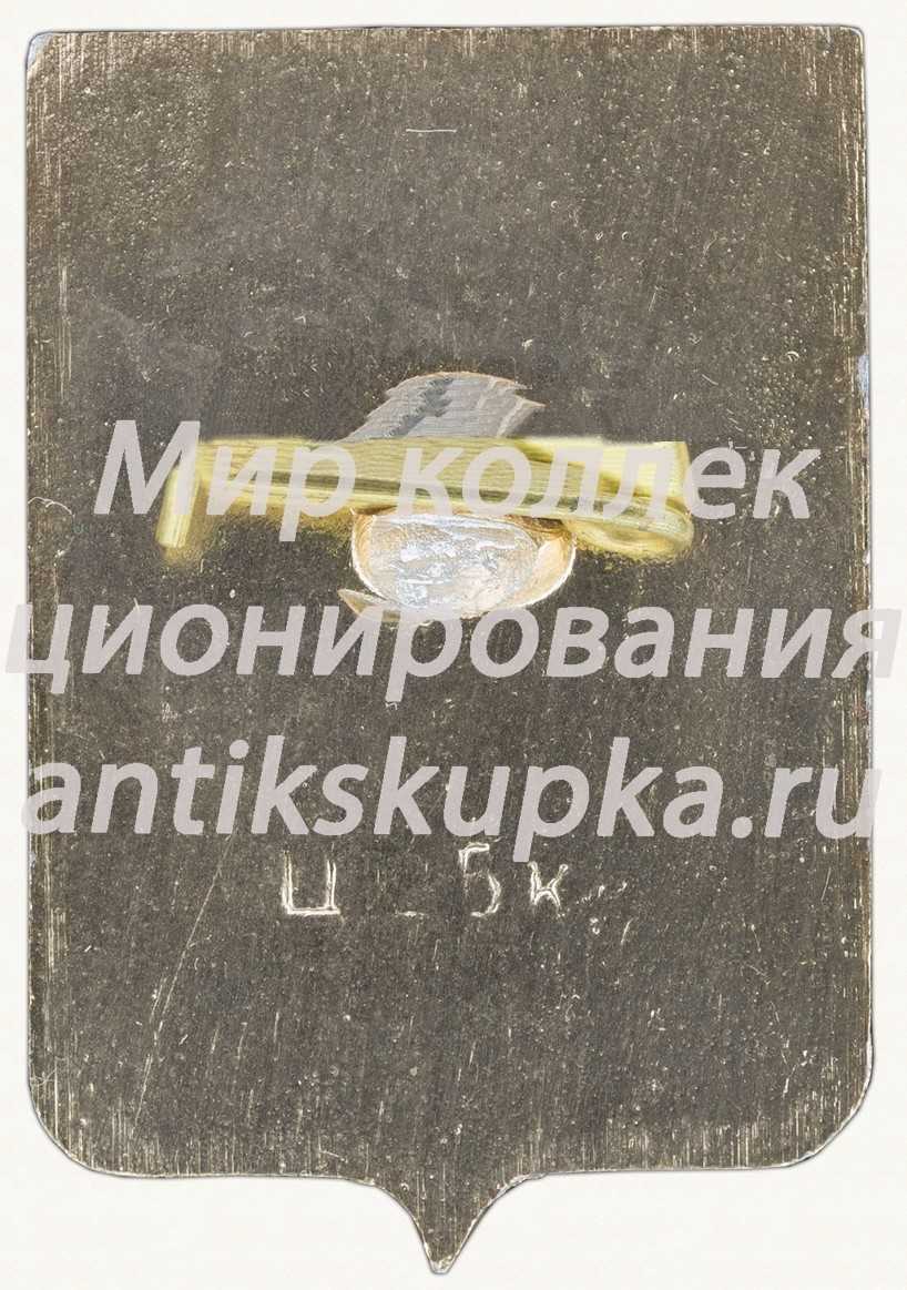 Знак «Город Новгород. 859» 2 Знак «Город Новгород. 859» 2