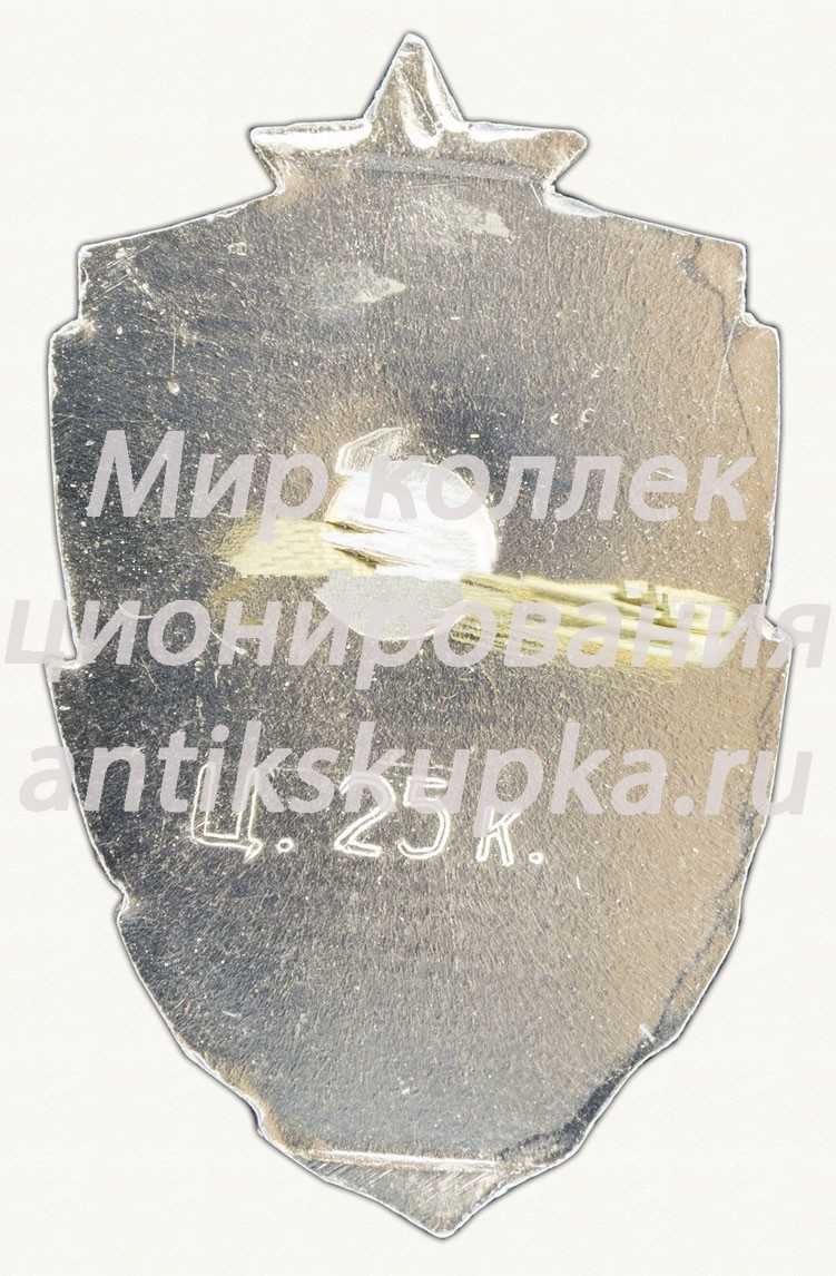 Знак «Город Новгород. Тип 3» Знак «Город Новгород. Тип 3»