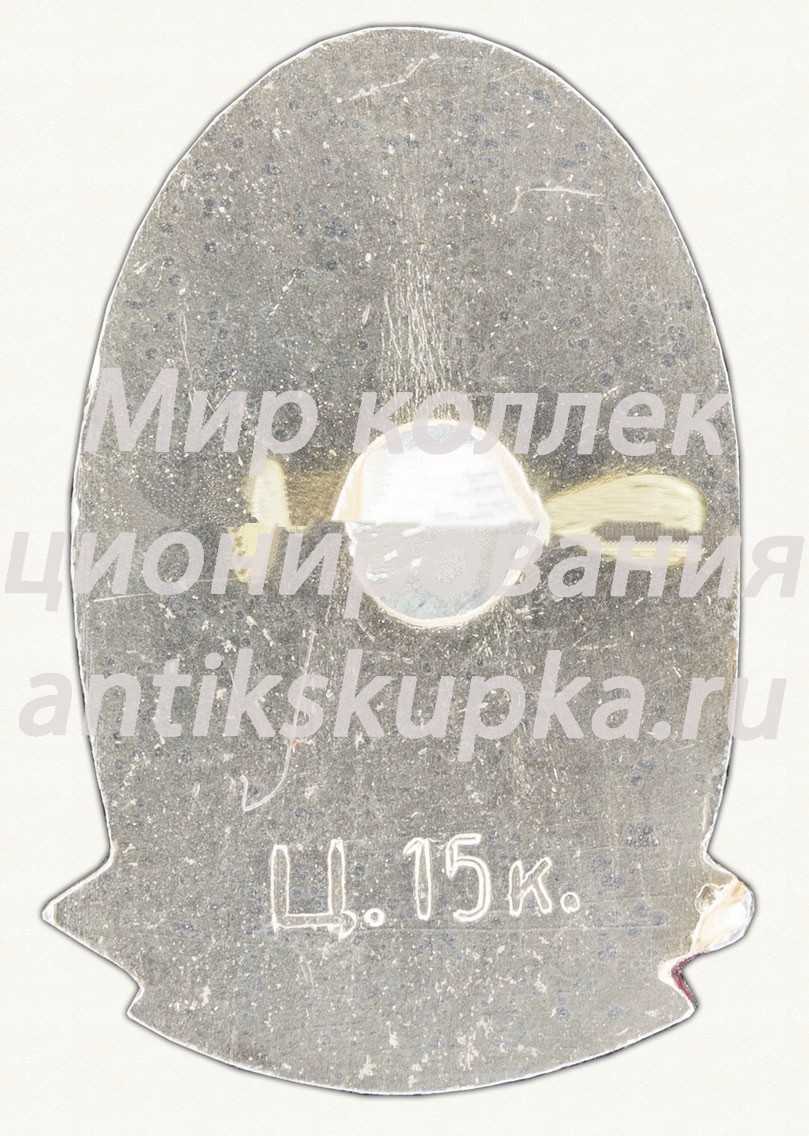 Знак «Город Новгород. Тип 4» Знак «Город Новгород. Тип 4»